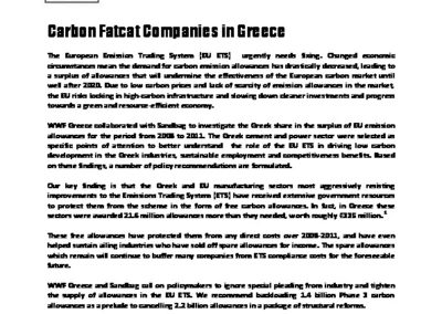 Carbon Fatcat Companies in Greece