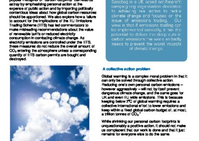 A closer look at voluntary carbon action