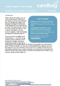 Consultation Response: Carbon Capture and Storage in the EU