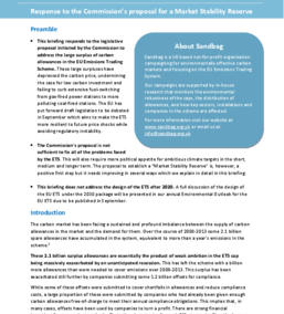 Policy Briefing on the Market Stability Reserve