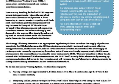 The ETS and the Energy Efficiency Directive