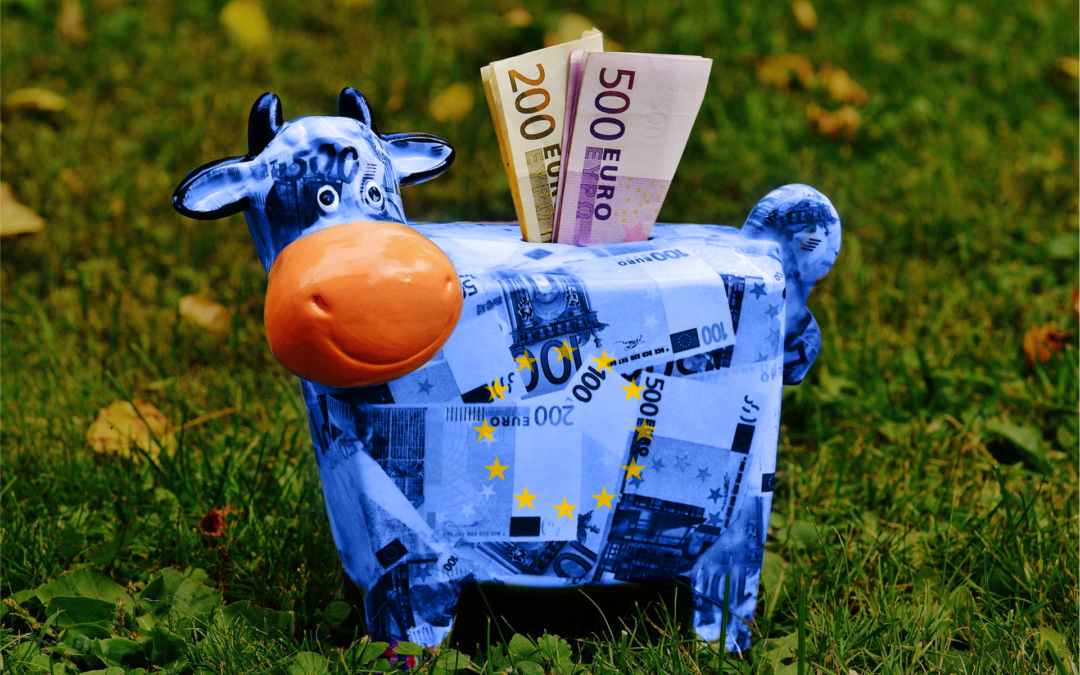 ETS reform vote expected to boost cement sector’s subsidy to €2.8 billion by 2030